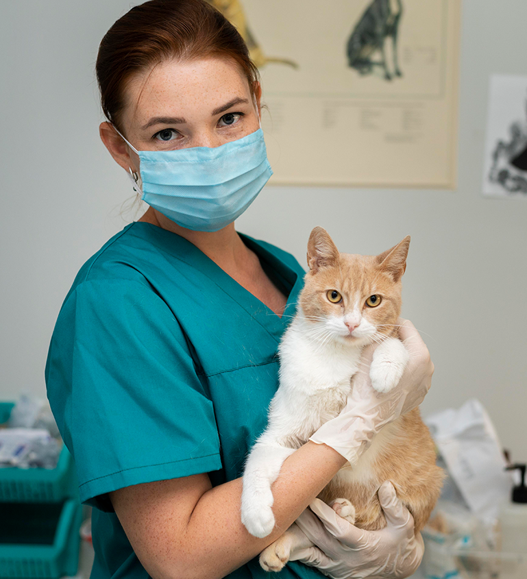 Vétérinaire - Expert-comptable santé