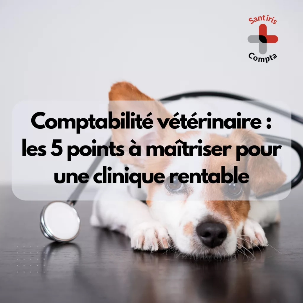 Comptabilité vétérinaire : les 5 points clés à maîtriser pour gérer une clinique vétérinaire rentable – conseils comptables et fiscaux pour vétérinaires libéraux.