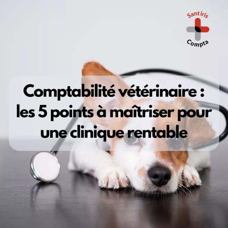 Comptabilité vétérinaire : les 5 points clés à maîtriser pour gérer une clinique vétérinaire rentable – conseils comptables et fiscaux pour vétérinaires libéraux.
